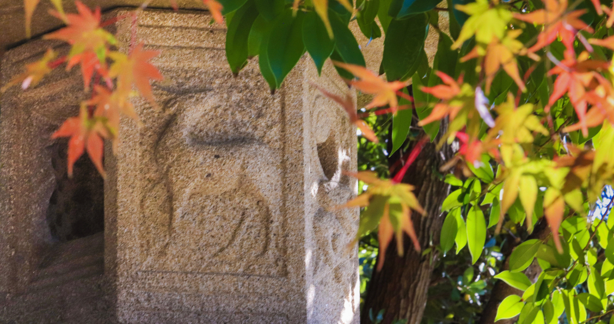 赤く染まったモミジの葉と鹿の彫刻の入った神社の灯籠の写真
