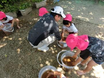 園児たちが土づくりをしている様子の写真