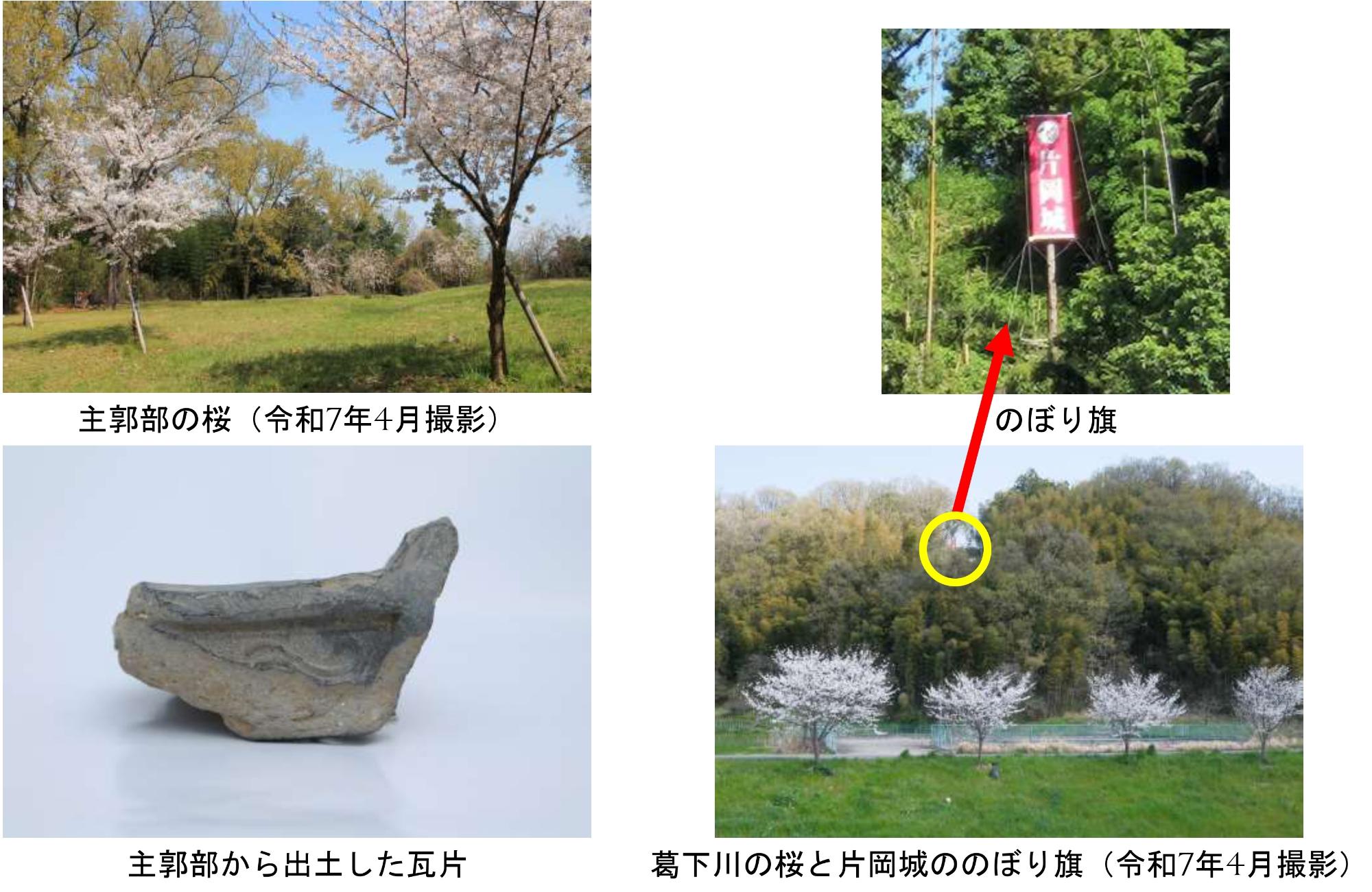 桜・主郭部から出土した瓦片・のぼり旗