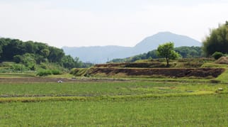 遠くに見える山々と一面に広がる田んぼの写真