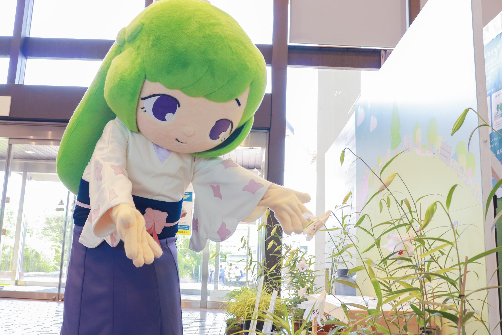 yurihasasayuri2025-01