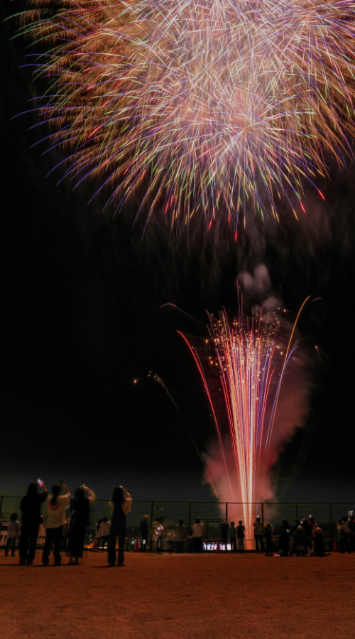 夜空に打ち上がった花火と花火を望む人々の後ろ姿の写真