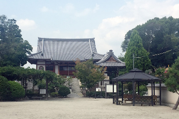達磨寺の画像