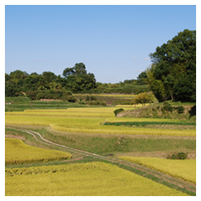 田園風景の画像