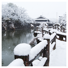 雪景色の画像