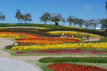 馬見丘陵公園の画像