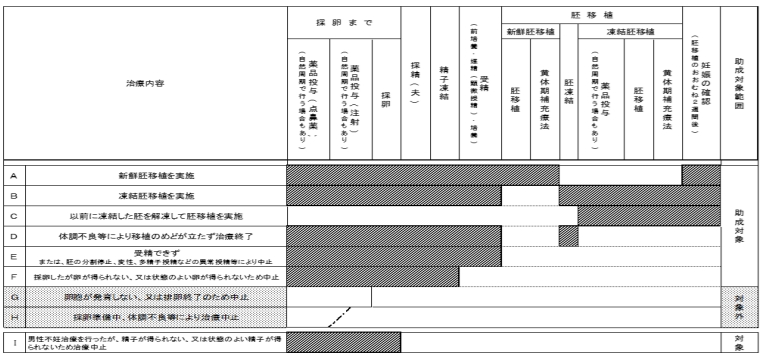 生殖補助医療の治療ステージ