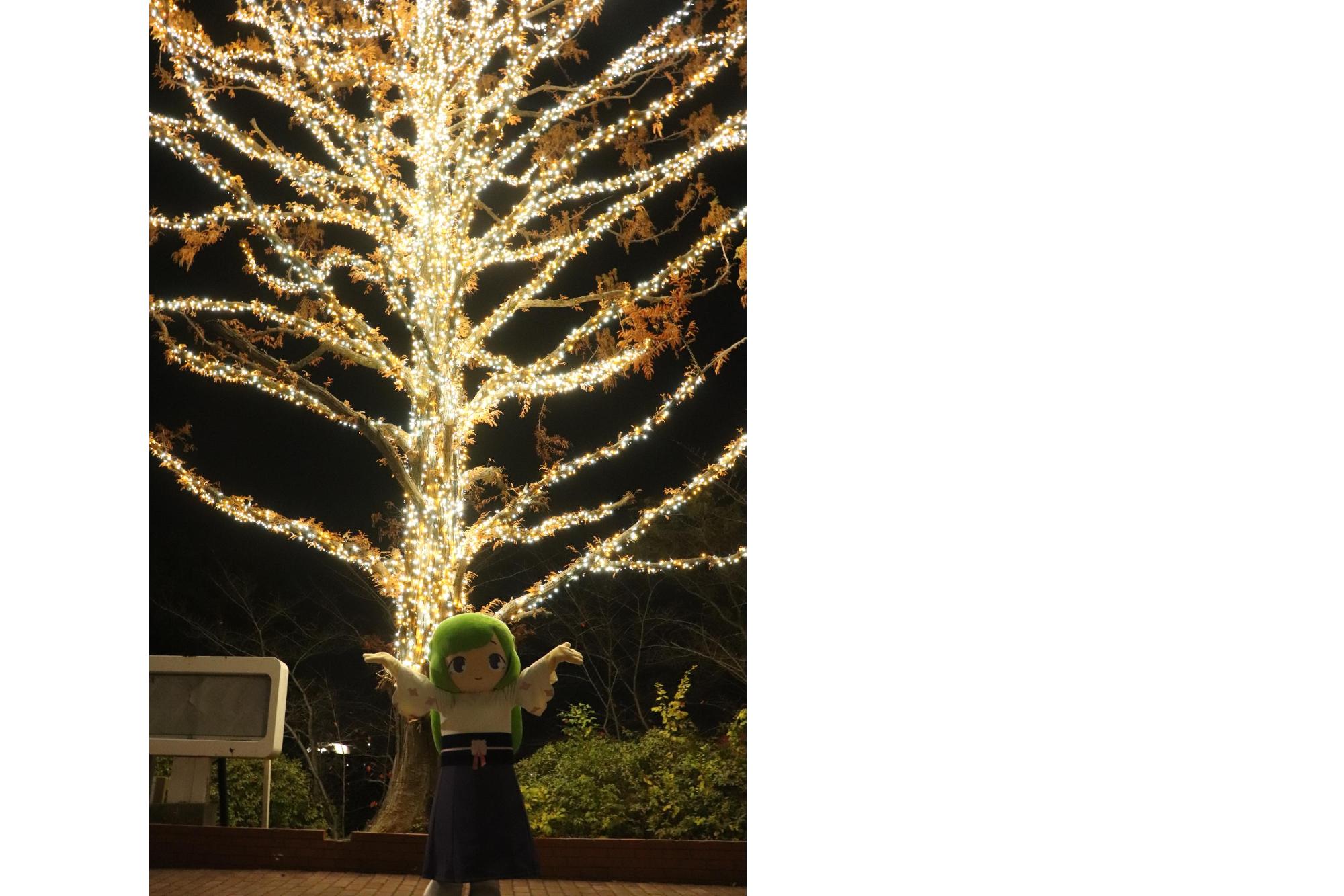 ゆりはちゃんイルミネーション04