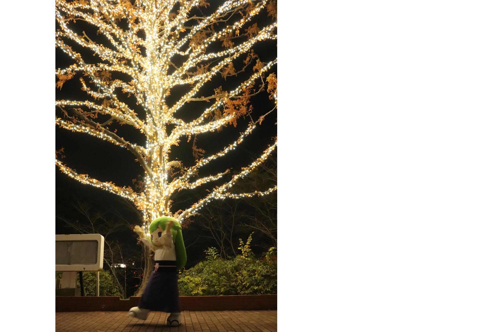 ゆりはちゃんイルミネーション02