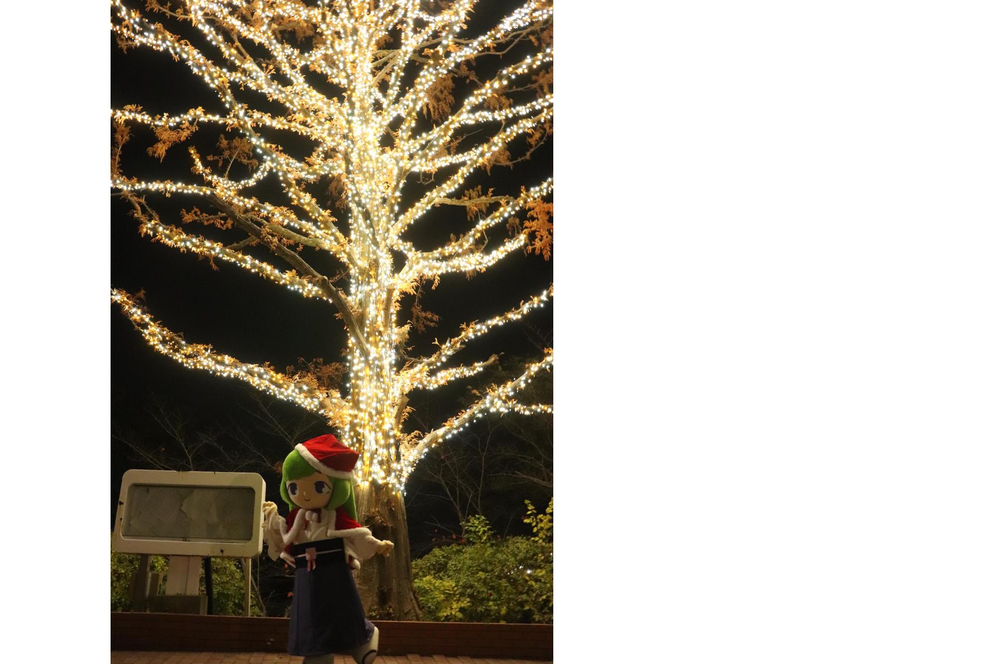 ゆりはちゃんイルミネーション03