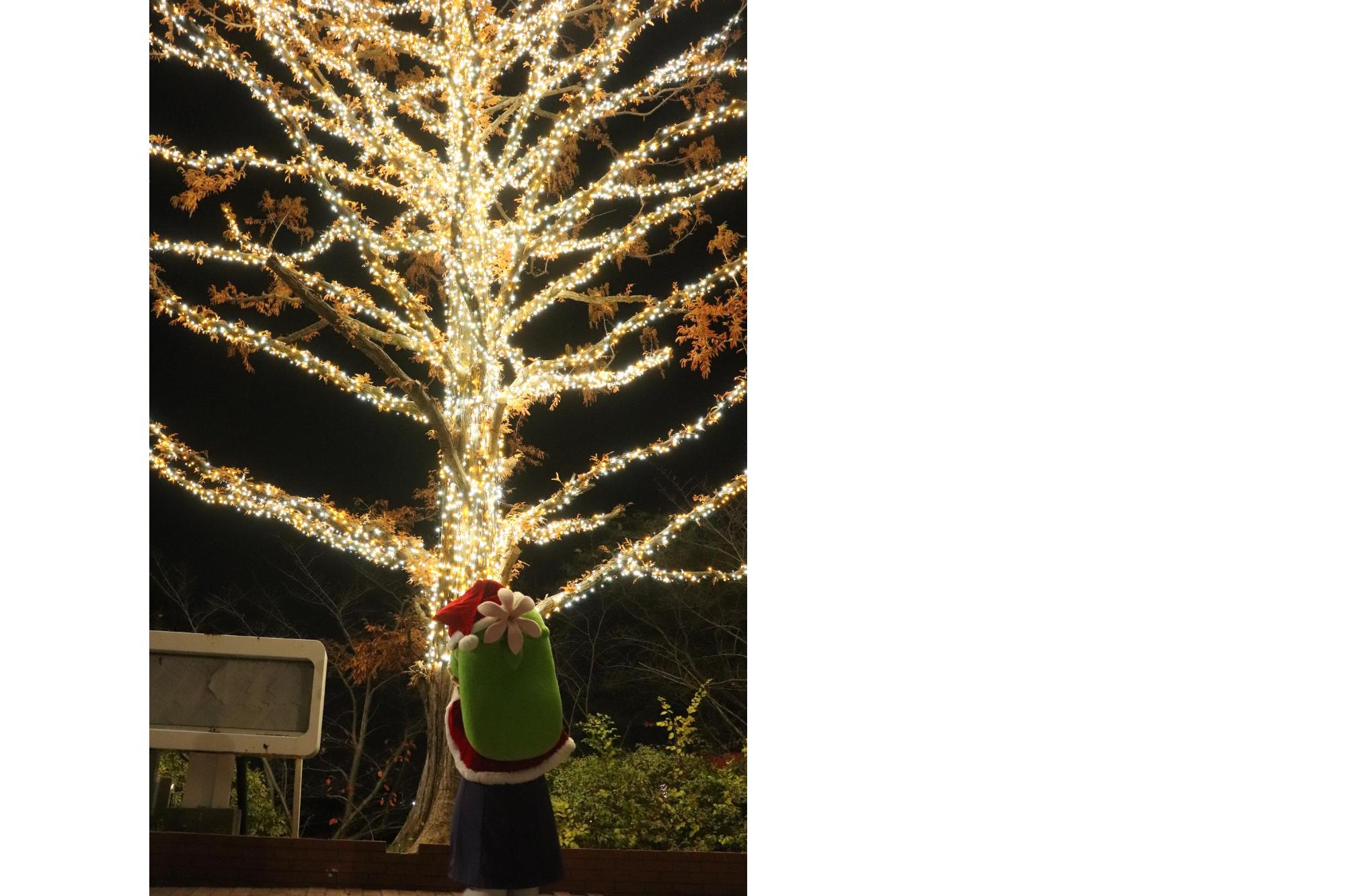 ゆりはちゃんイルミネーション05