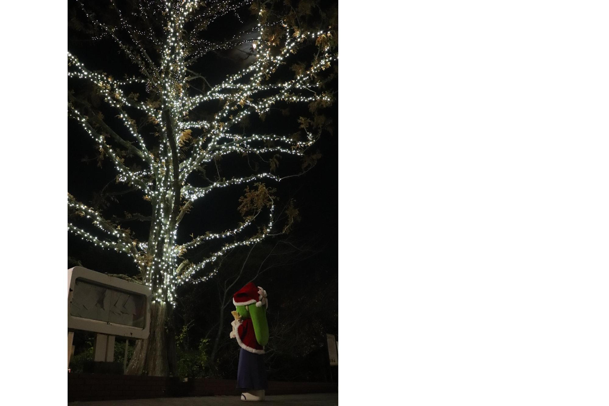 ゆりはちゃんイルミネーション01