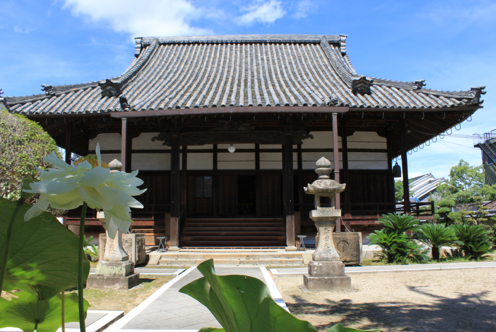 光専寺の本堂の写真